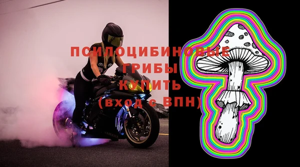 a pvp Зеленокумск
