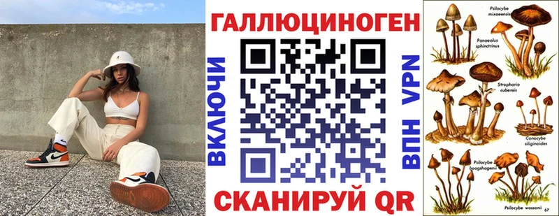 Купить  Бор  Псилоцибиновые грибы GOLDEN TEACHER 